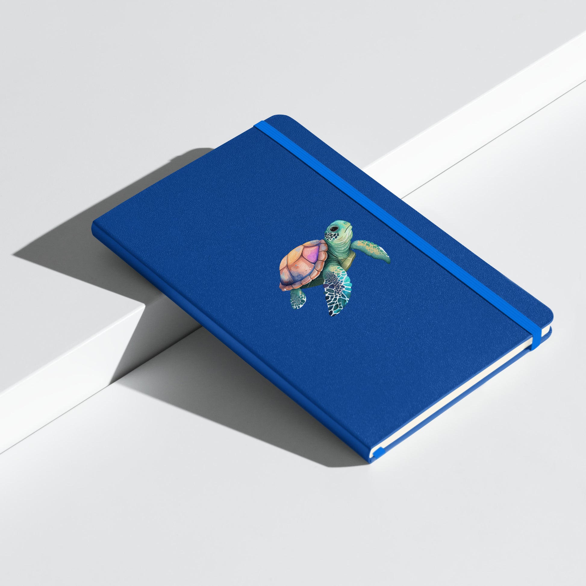 turtle notebook