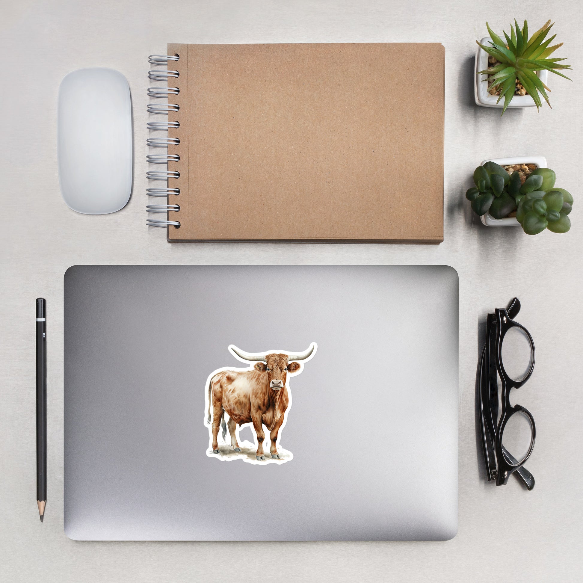 Texas Longhorns Stickers